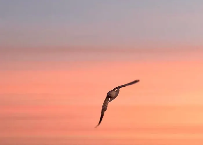 Stormy Im Nauticum By Interhome